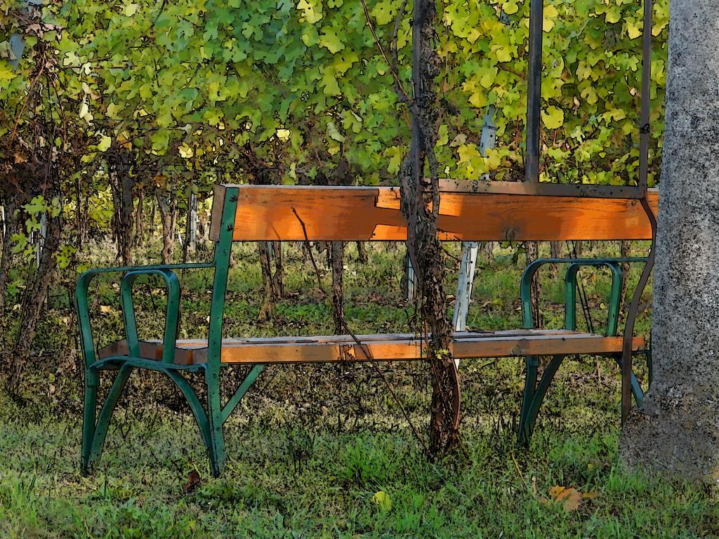 Pension Rudi - Weingut Kellner Ξενοδοχείο Pulkau Εξωτερικό φωτογραφία